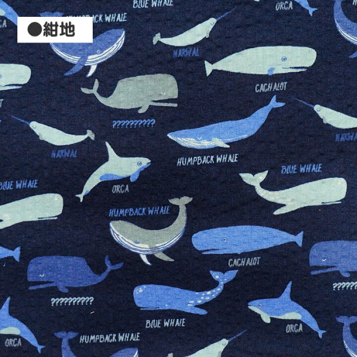 楽天市場】リップル生地 ミニミニ クジラ柄 小さめ くじら シャチ 