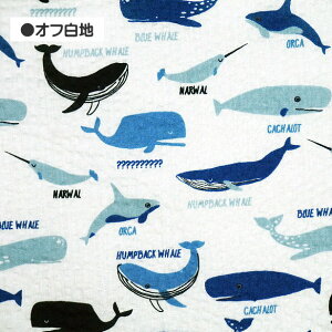 bvn ~j~j NW   V` CbJN C  100 z bv n | r ߒn 䂩 pW}  TbJ[n