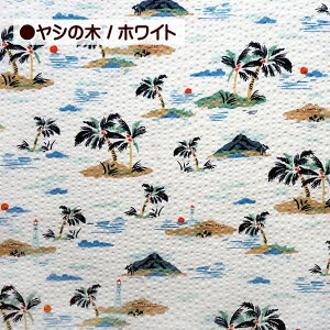 bvn C͒j̃} CJƃbg {gVbv V̖ 100 z bv n | r ߒn 䂩 pW}  TbJ[n