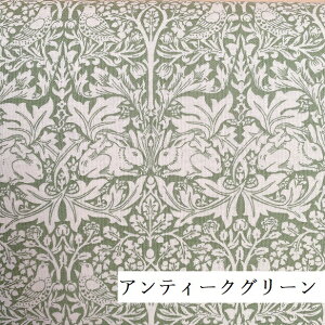 EBAX Z키 uArbg Brer Rabbit or Brother Rabbit V[`O n AeB[N A[k[{[  VA10013S   k {