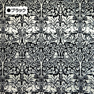 EBAX Z키 uArbg Brer Rabbit or Brother Rabbit ~l[g n AeB[N A[k[{[  VA10013S   k {