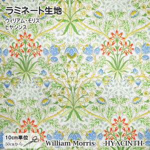 EBAX qVX HYACINTH  ~l[gn William Morris n AeB[N A[k[{[ VA10015S   k {
