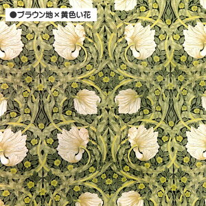 EBAX sp[l ~l[g n William Morris Pimpernel h AeB[N A[k[{[    VA10001S  EBA X