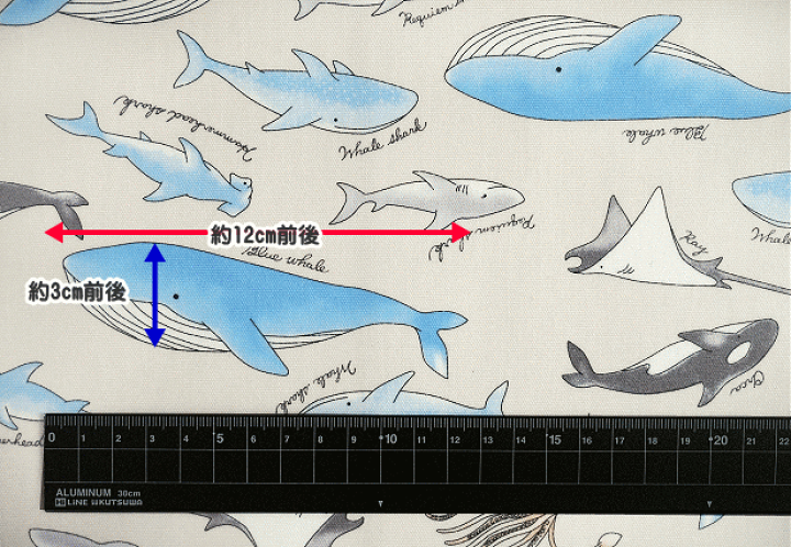 楽天市場】ラミネート 生地 海の生き物 柄 クジラ シャチ エイ 巨大