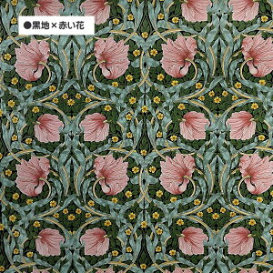 EBAX sp[l William Morris Pimpernel h V[`O n AeB[N A[k[{[   VA10001S  EBA X