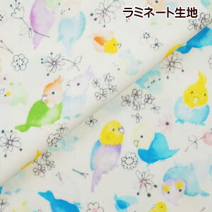 鳥 生地の人気商品 通販 価格比較 価格 Com