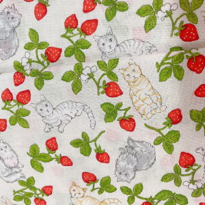 XPA n _ƔL ˂  킢 t tt