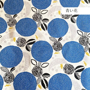 ȖLoX n C\GbR HANAMONOGATARI ͂Ȃ̂ k b isso ecco ?  z | p\ uhn