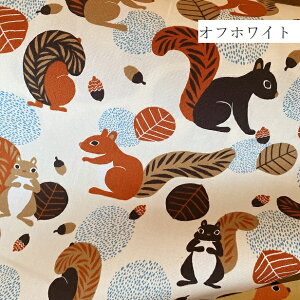 IbNX n 傫Ȗk X ǂ񂮂 z | 啿 k