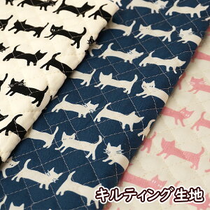 LeBO n LeBO LeBOn L̍si 2Fz ̎q bXobOn  100 ʉ ʊw  w ˂ lR/ 50cm܂Ń[։ / bXobO 