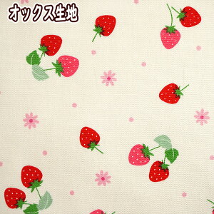 いちご かわいいの人気商品 通販 価格比較 価格 Com