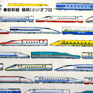 IbNX n V  蕨 100% ʉʊw w Rbg | j̎q  bXobO