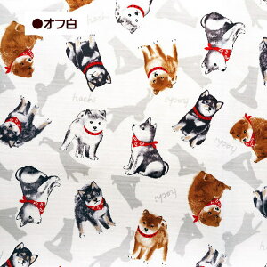 IbNX n Č  o_i n` hachi   Ό 킢 lC { R kooikerhondje  bXobOn | ʉ ʊw  w