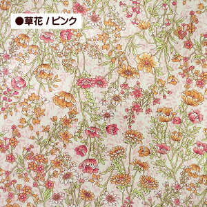 bvn  ԕ  100 z | r ߒn 䂩 pW}  TbJ[n _CNgbt