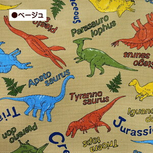 IbNX n Jt  傤イ eBmTEX gPgvX XeSUEX 100% Rbg | 킢 _Ci\[ ǂ  ʉʊwObY