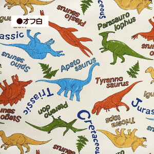 IbNX n Jt  傤イ eBmTEX gPgvX XeSUEX 100% Rbg | 킢 _Ci\[ ǂ  ʉʊwObY