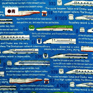 LeBO n ԗ V 500n 0n 923n  p gC  蕨  p d {  bXobOn | ʉ ʊw  w / 50cm܂Ń[