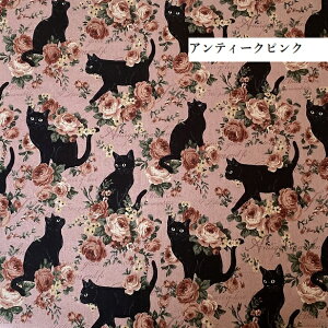 Ȗn oƍL big cat | ˂ lR L o  obO CeA Ȗ n ȖLoX I[h[Y AeB[N cm