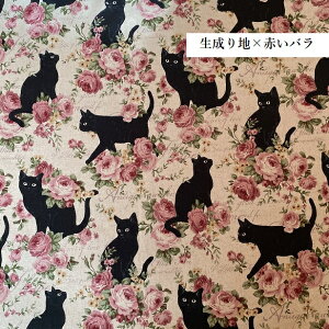 Ȗn oƍL big cat | ˂ lR L o  obO CeA Ȗ n ȖLoX I[h[Y AeB[N cm