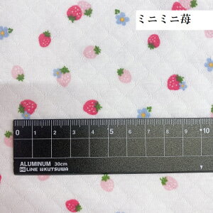 xr[ jbg n  ~U     ӂӂ LbY ۈ牀 킽jbgLgn | 킢  [1m܂