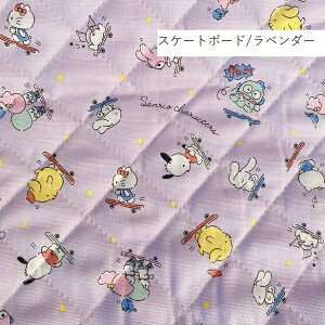 10cm̉i LeBOn TI LeB LL }CfB N~ ||v ۂ Vi[ XP[^[ XP[g{[h nMh z Rbg