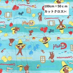 y100cm×50cmJbgNXz LeBOn ̃W[W G{ ЂƂ܂˂ AJ Aj ObY | ʉ ʊw  w Lg n