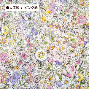 XPA n  W RI lHI ԕ  Joli bouquet Rbg XPA vgn  z | SO-57100