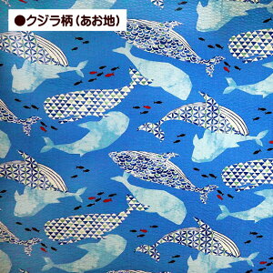 bvn NW  C  100 z bv n | r ߒn 䂩 pW}  TbJ[n