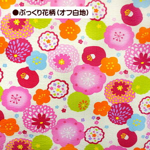 bvn Ղԕ ͂  ۂ 킢 100 z bv n | r ߒn 䂩 pW}  TbJ[n