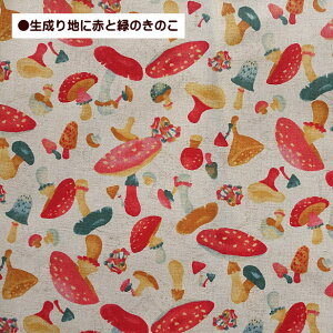 Ȗ LoX n ̎q ̂炯 LmR  ȖLoX Y&TT collection hks664