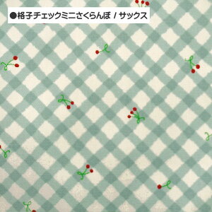 IbNX n ݃J[ MK`FbN  iq `FbN ~j iq jAXJ[ `F[  `FbN | IbNXn 100