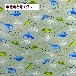 bvn ƍ  傤イ _Ci\[ 킢 DINOSAUR ǂ 100 z bv n | r ߒn 䂩 pW}  TbJ[n