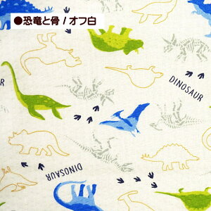 bvn ƍ  傤イ _Ci\[ 킢 DINOSAUR ǂ 100 z bv n | r ߒn 䂩 pW}  TbJ[n