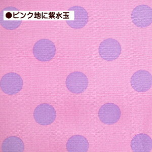 IbNX n  hbg 2cm ʕ hbg Vv  ʖ͗l bXobO ؂ւ ʉ ʊw  w 100% | 킢 Rbg