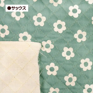 LeBOn k VvfCW[ ԕ  t[ flower  Vv ̎q 킢 z | ʉ ʊw  w k bXobOn ʉn vg z Lg