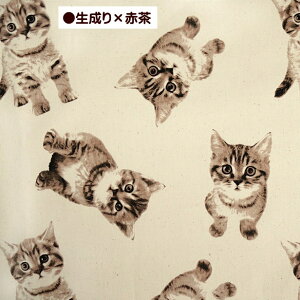 IbNX n ZsA mg[ L 傫ߕ mN Avg 100 z | 킢 ˂ lR L ɂ Vv