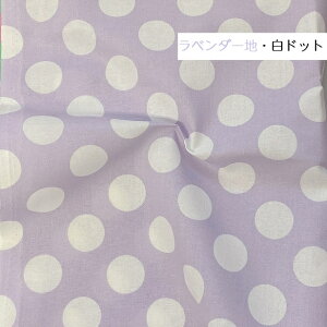 V[`On 3cm hbg  ʖ͗l LfB[|bv LfB[p[eB[ 100 z | { ʊw  w ǂ j̎q n bXobO 킢 