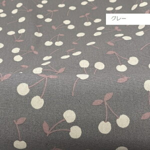 IbNX n ݂ ݃J[  ڕ lۂ  Vv ̎q 킢 100 z | ʉ ʊw  w k bXobOn 