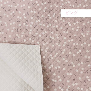 LeBO n CLg cLg ݃{ ݂ ݃J[  Vv ̎q 킢 100 z | ʉ ʊw  w k bXobOn