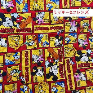 y10cm̉iłz LeBOn fBYj[ vZX ~bL[}EX ~j[ `bvƃf[ AiƐ̏ LN^[n J[Y vcF AG ʉ ʊw  