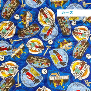 y10cm̉iłz LeBOn fBYj[ vZX ~bL[}EX ~j[ `bvƃf[ AiƐ̏ LN^[n J[Y vcF AG ʉ ʊw  