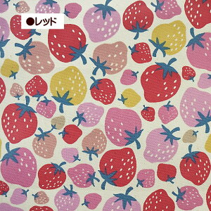 IbNX n g`[  ݃J[n Retrocharme  C`S Xgx[ ȃJX 100 z |