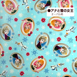 10cmPʂ̉i IbNXn vZX Disney fBYj[ vZX AiƐ̏ Ai GT ̏̃vcF vcF lP AG Vf Ɩb x A