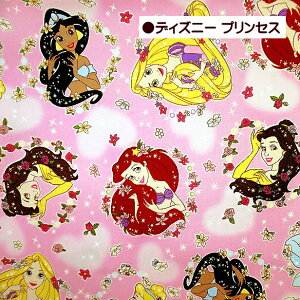 10cmPʂ̉i IbNXn vZX Disney fBYj[ vZX AiƐ̏ Ai GT ̏̃vcF vcF lP AG Vf Ɩb x A