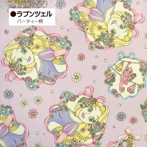 10cmPʂ̉i IbNXn vZX Disney fBYj[ vZX AiƐ̏ Ai GT ̏̃vcF vcF lP AG Vf Ɩb x A