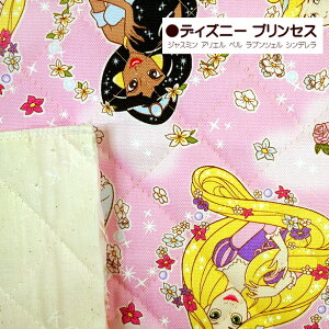 y10cm̉iłz LeBOn vZX Disney fBYj[ vZX AiƐ̏ Ai GT ̏̃vcF vcF lP AG Vf Ɩb x