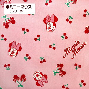 10cm�P�ʂ̉��i �I�b�N�X���n Disney �f�B�Y�j�[ �~�b�L�[�}�E�X �~�b�L�[���t�����Y �X�C�[�c�� ��蕨�� �~�j�[�}�E�X �`�F���[�� BTS���� �ʉ� �ʊw �w�Z �w����50cm�ȏォ��