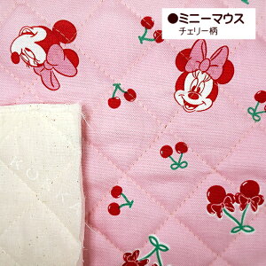 y10cmPʁz LeBOn Disney fBYj[ ~bL[}EX ~bL[tY XC[c 蕨 ~j[}EX `F[ BTS ʉ ʊw wZ w50cmȏォ / [z50c