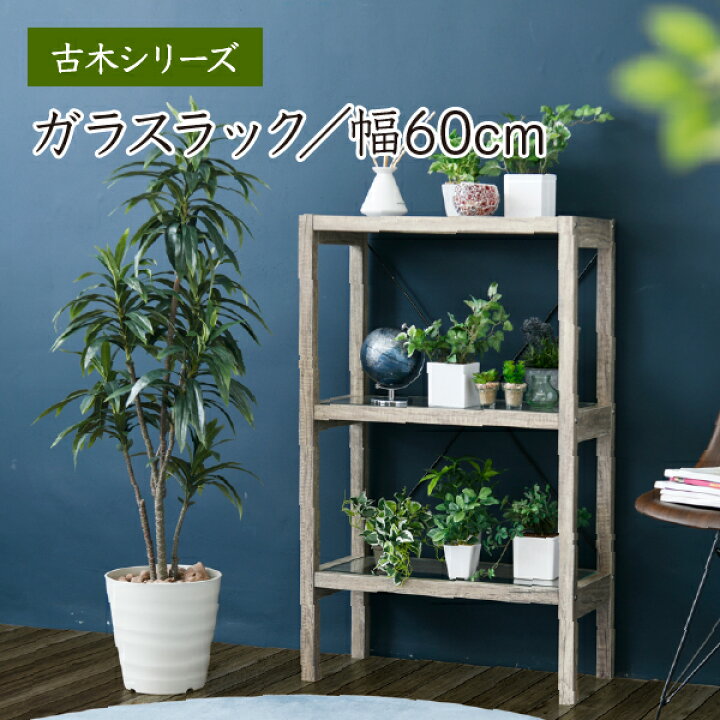 楽天市場 プランタースタンド ラック 幅60 高さ100 3段 ガーデンラック ガラス シャビー 観葉植物 フラワースタンド シェルフ 木製 ガーデニングラック 送料無料 ケイスリーファニチャー楽天市場店