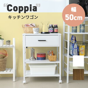 Lb`S LX^[t X Ƒ 50 s35 65 ъ g[X^[ H [ o t RpNg bN 2i 3i ؐ 